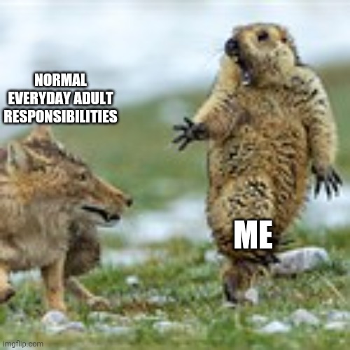 Dodging that shit like: | NORMAL EVERYDAY ADULT RESPONSIBILITIES; ME | image tagged in coyote | made w/ Imgflip meme maker