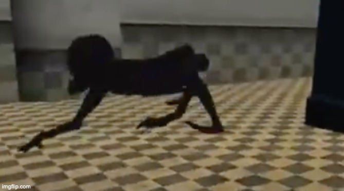 image tagged in horrar | made w/ Imgflip meme maker