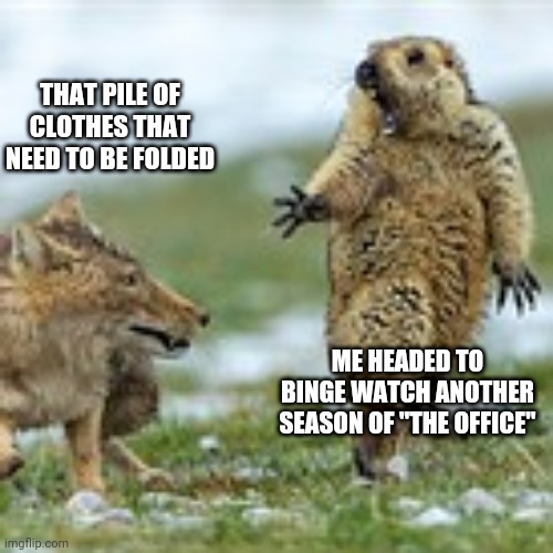 Miss me with that shit | THAT PILE OF CLOTHES THAT NEED TO BE FOLDED; ME HEADED TO BINGE WATCH ANOTHER SEASON OF "THE OFFICE" | image tagged in the office,coyote,groundhog | made w/ Imgflip meme maker