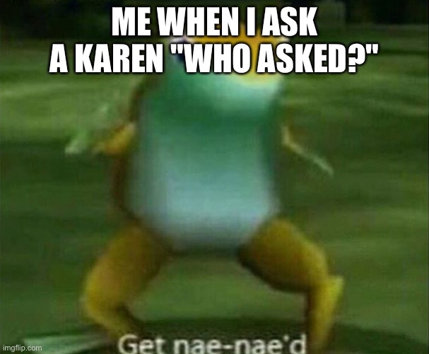 Get nae-nae'd | ME WHEN I ASK A KAREN "WHO ASKED?" | image tagged in get nae-nae'd | made w/ Imgflip meme maker