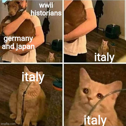 Sad Cat Holding Dog | wwii historians; germany and japan; italy; italy; italy | image tagged in sad cat holding dog,wwii,germany,japan,italy,historical meme | made w/ Imgflip meme maker