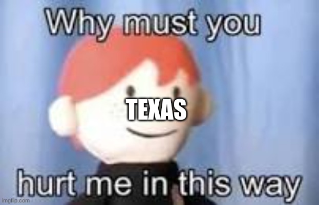 Why must you hurt me in this way | TEXAS | image tagged in why must you hurt me in this way | made w/ Imgflip meme maker