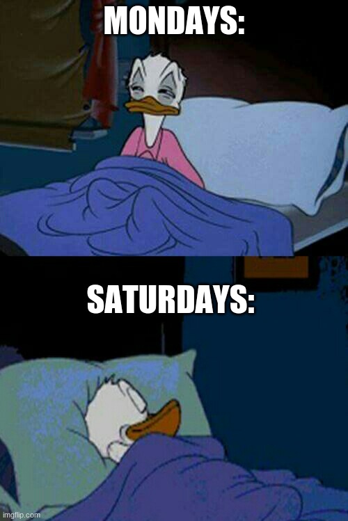 sleepy donald duck in bed | MONDAYS:; SATURDAYS: | image tagged in sleepy donald duck in bed | made w/ Imgflip meme maker