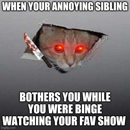 Ceiling Cat | WHEN YOUR ANNOYING SIBLING; BOTHERS YOU WHILE YOU WERE BINGE WATCHING YOUR FAV SHOW | image tagged in memes,ceiling cat | made w/ Imgflip meme maker