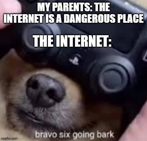 Bravo Six Going Bark | MY PARENTS: THE INTERNET IS A DANGEROUS PLACE; THE INTERNET: | image tagged in bravo six going bark | made w/ Imgflip meme maker