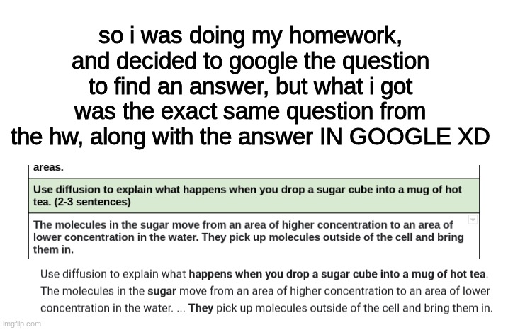 lol moment | so i was doing my homework, and decided to google the question to find an answer, but what i got was the exact same question from the hw, along with the answer IN GOOGLE XD | image tagged in lol | made w/ Imgflip meme maker