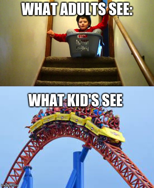 WHAT ADULTS SEE:; WHAT KID'S SEE | image tagged in adult,kids,rollercoaster,oh wow are you actually reading these tags,stop reading the tags | made w/ Imgflip meme maker