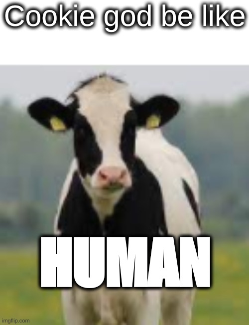 cow | Cookie god be like; HUMAN | image tagged in cow | made w/ Imgflip meme maker