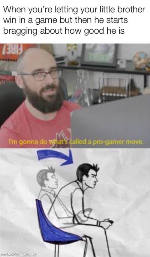 no one can say this aint true | image tagged in pro gamer move | made w/ Imgflip meme maker