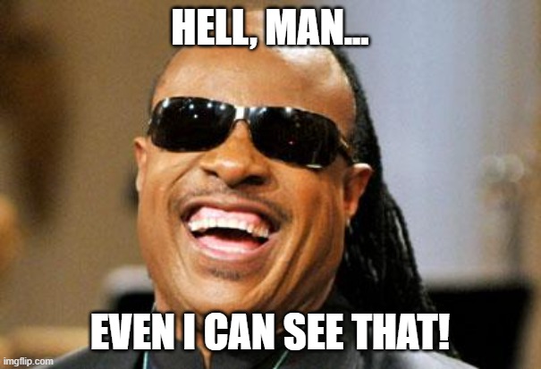 Stevie Wonder | HELL, MAN... EVEN I CAN SEE THAT! | image tagged in stevie wonder | made w/ Imgflip meme maker