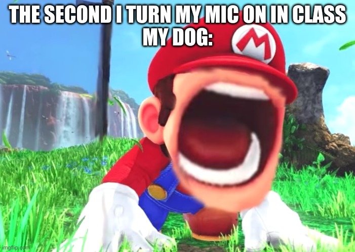 Mario screaming | THE SECOND I TURN MY MIC ON IN CLASS
MY DOG: | image tagged in mario screaming | made w/ Imgflip meme maker