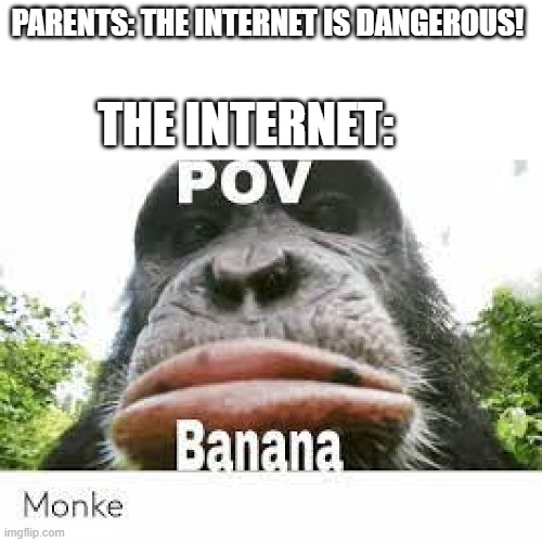 It's true tho | PARENTS: THE INTERNET IS DANGEROUS! THE INTERNET: | image tagged in memes | made w/ Imgflip meme maker