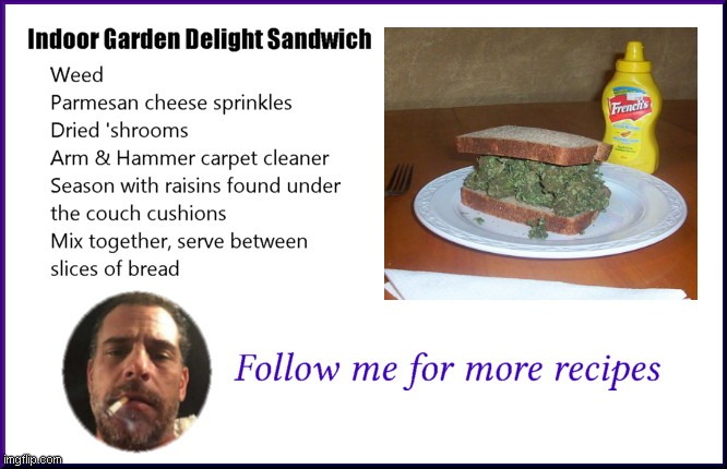 Hunter Biden sandwich recipe | image tagged in hunter biden sandwich recipe,drug addiction,stupid people,biden crime family,recipe,parody | made w/ Imgflip meme maker