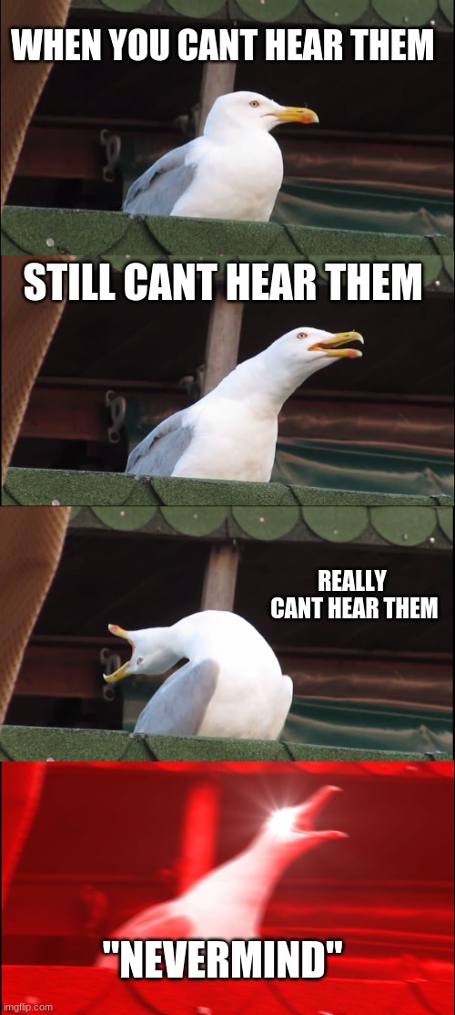 This is relatable.. *sarcastic lol* | WHEN YOU CANT HEAR THEM; STILL CANT HEAR THEM; REALLY  CANT HEAR THEM; "NEVERMIND" | image tagged in memes,inhaling seagull,nevermind | made w/ Imgflip meme maker