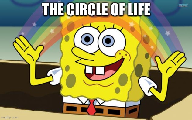 Spongbob | THE CIRCLE OF LIFE | image tagged in spongbob | made w/ Imgflip meme maker