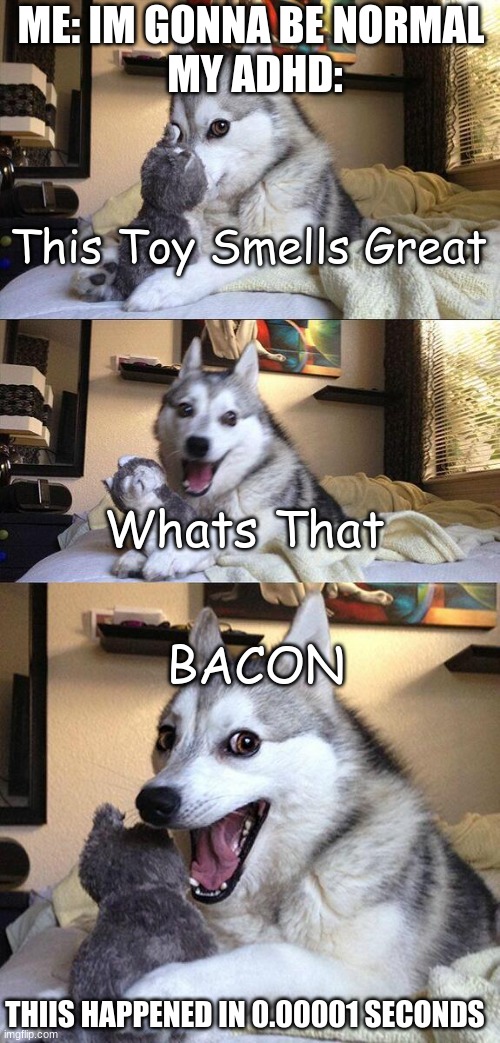 Bad Pun Dog | ME: IM GONNA BE NORMAL 
MY ADHD:; This Toy Smells Great; Whats That; BACON; THIIS HAPPENED IN 0.00001 SECONDS | image tagged in memes,bad pun dog | made w/ Imgflip meme maker