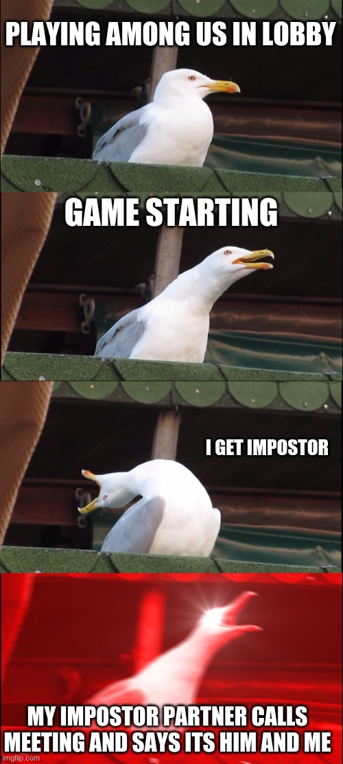 Rage 10000 | PLAYING AMONG US IN LOBBY; GAME STARTING; I GET IMPOSTOR; MY IMPOSTOR PARTNER CALLS MEETING AND SAYS ITS HIM AND ME | image tagged in memes,inhaling seagull,among us | made w/ Imgflip meme maker