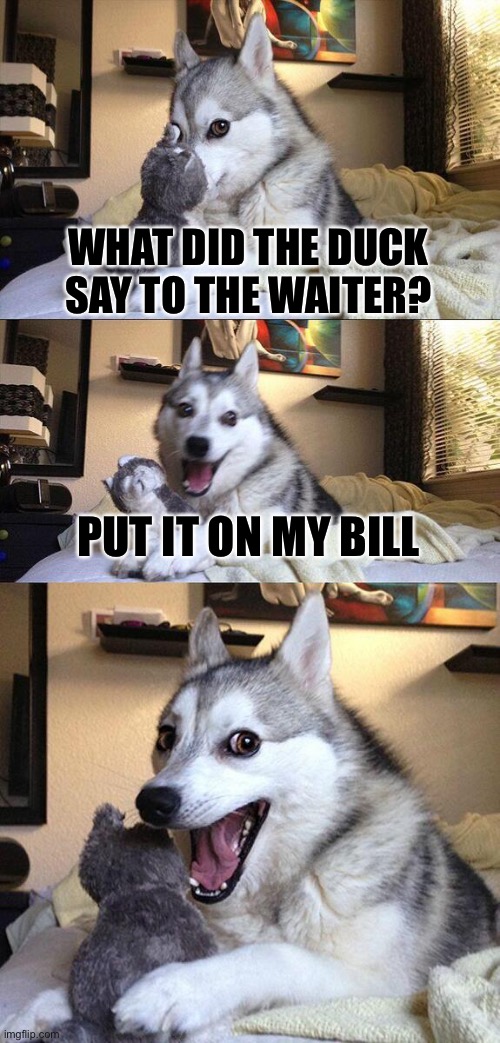 Bad pun dog | WHAT DID THE DUCK SAY TO THE WAITER? PUT IT ON MY BILL | image tagged in memes,bad pun dog | made w/ Imgflip meme maker