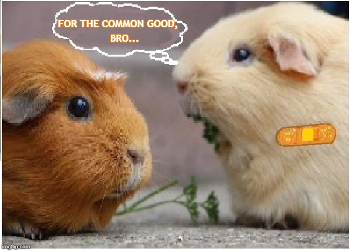 Bro, For the Common Good... | BRO... FOR THE COMMON GOOD, | image tagged in common good,jab,freedom,experimental,guinea pigs | made w/ Imgflip meme maker