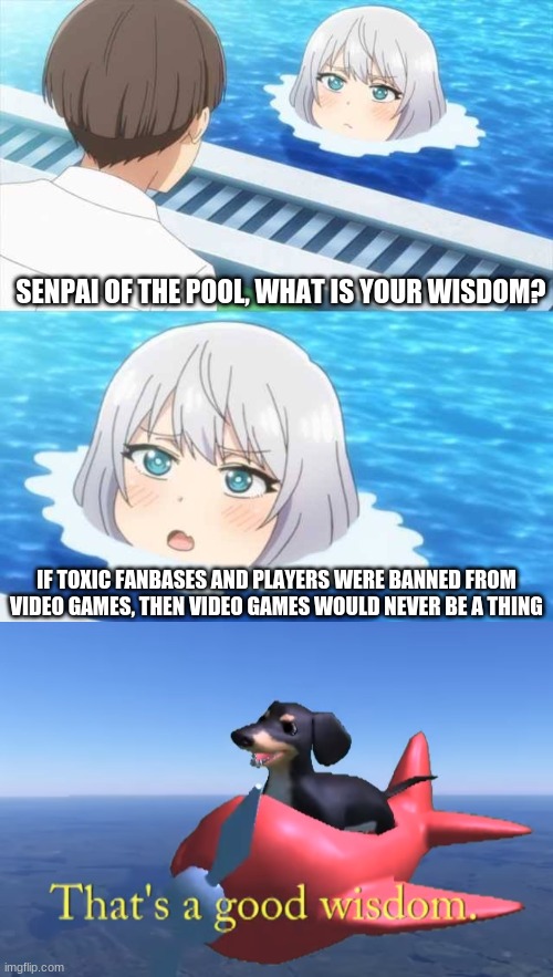 viddey games :D | SENPAI OF THE POOL, WHAT IS YOUR WISDOM? IF TOXIC FANBASES AND PLAYERS WERE BANNED FROM VIDEO GAMES, THEN VIDEO GAMES WOULD NEVER BE A THING | image tagged in senpai of the pool | made w/ Imgflip meme maker