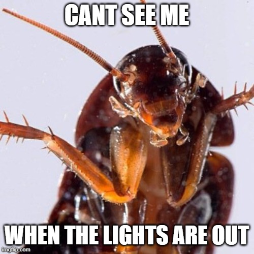 Roach | CANT SEE ME WHEN THE LIGHTS ARE OUT | image tagged in roach | made w/ Imgflip meme maker