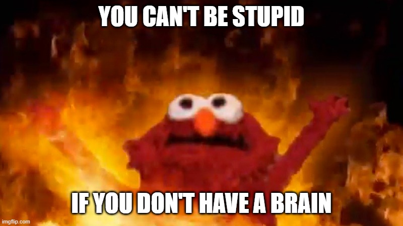 when you use the wrong words on the wrong meme | YOU CAN'T BE STUPID; IF YOU DON'T HAVE A BRAIN | image tagged in memes,lol | made w/ Imgflip meme maker