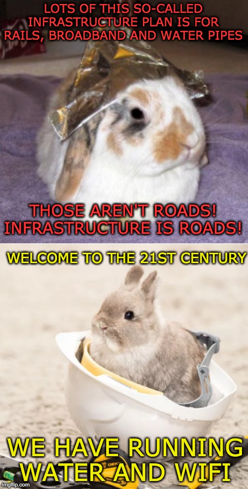 Let's get things done, 21st Century style | LOTS OF THIS SO-CALLED INFRASTRUCTURE PLAN IS FOR RAILS, BROADBAND AND WATER PIPES; THOSE AREN'T ROADS! INFRASTRUCTURE IS ROADS! WELCOME TO THE 21ST CENTURY; WE HAVE RUNNING WATER AND WIFI | image tagged in tin hat hard hat,bunny,building,infrastructure | made w/ Imgflip meme maker