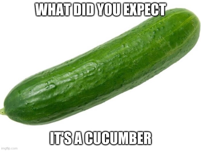Cucumber | WHAT DID YOU EXPECT; IT'S A CUCUMBER | image tagged in cucumber,pointless | made w/ Imgflip meme maker