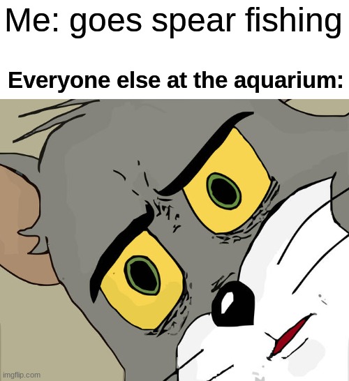 Unsettled Tom Meme | Me: goes spear fishing; Everyone else at the aquarium: | image tagged in memes,unsettled tom | made w/ Imgflip meme maker