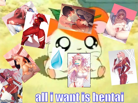 all i want is hentai (NSFW) | AAAAAAAAAAAAAAAAAAAAAAAAAAAAAAAAAAAAAAAAAAAAAAAAAAAAAAA; all i want is hentai | image tagged in memes,hamtaro | made w/ Imgflip meme maker