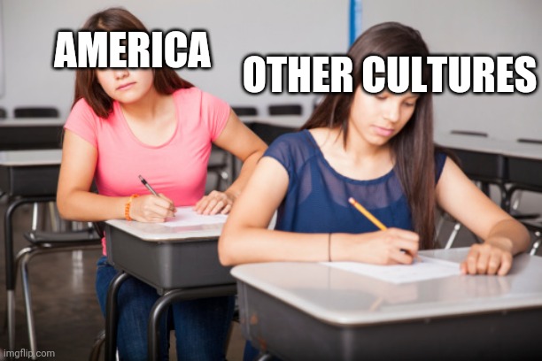 Too true | OTHER CULTURES; AMERICA | image tagged in memes | made w/ Imgflip meme maker