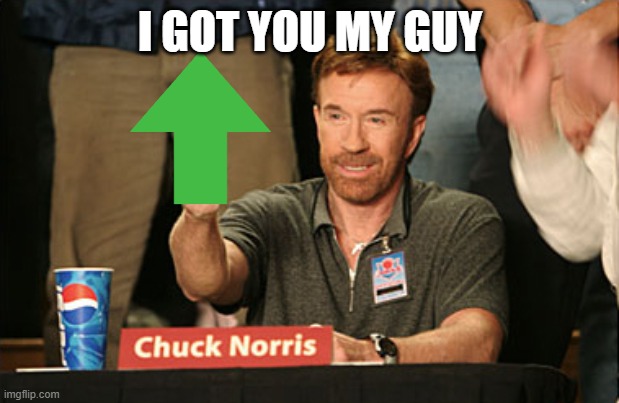 Chuck Norris Approves Meme | I GOT YOU MY GUY | image tagged in memes,chuck norris approves,chuck norris | made w/ Imgflip meme maker