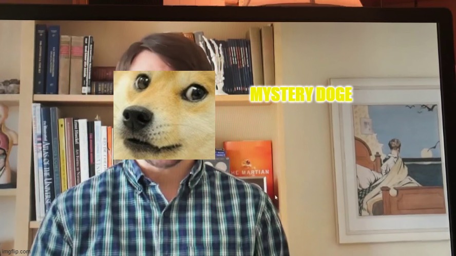 Mystery doug + doge (: | MYSTERY DOGE | image tagged in doge,mystery doug | made w/ Imgflip meme maker