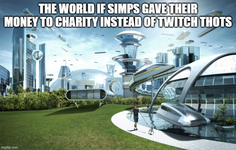Futuristic Utopia | THE WORLD IF SIMPS GAVE THEIR MONEY TO CHARITY INSTEAD OF TWITCH THOTS | image tagged in futuristic utopia | made w/ Imgflip meme maker