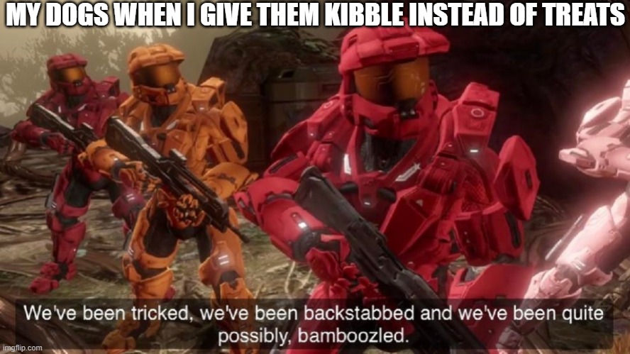 tricked | MY DOGS WHEN I GIVE THEM KIBBLE INSTEAD OF TREATS | image tagged in we've been tricked | made w/ Imgflip meme maker