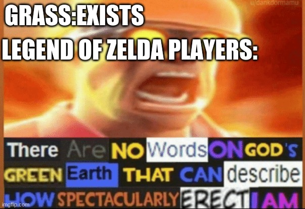 there are no words on god's green earth | GRASS:EXISTS; LEGEND OF ZELDA PLAYERS: | image tagged in there are no words on god's green earth | made w/ Imgflip meme maker