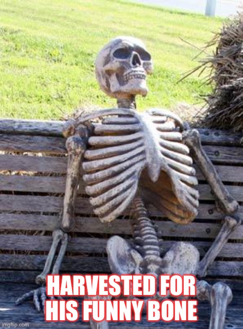 Waiting Skeleton | HARVESTED FOR HIS FUNNY BONE | image tagged in memes,waiting skeleton | made w/ Imgflip meme maker
