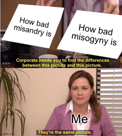 Who agrees? | How bad misandry is; How bad misogyny is; Me | image tagged in memes,they're the same picture,misandry,misogyny,sexist,sexism | made w/ Imgflip meme maker