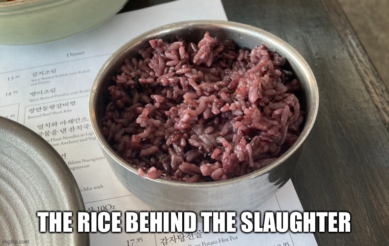 went to a korean resturant and found this unholy thing | THE RICE BEHIND THE SLAUGHTER | image tagged in memes,rice | made w/ Imgflip meme maker