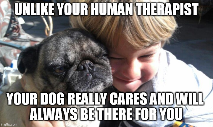 The Best Therapist | UNLIKE YOUR HUMAN THERAPIST; YOUR DOG REALLY CARES AND WILL 
ALWAYS BE THERE FOR YOU | image tagged in dog,best,therapist | made w/ Imgflip meme maker