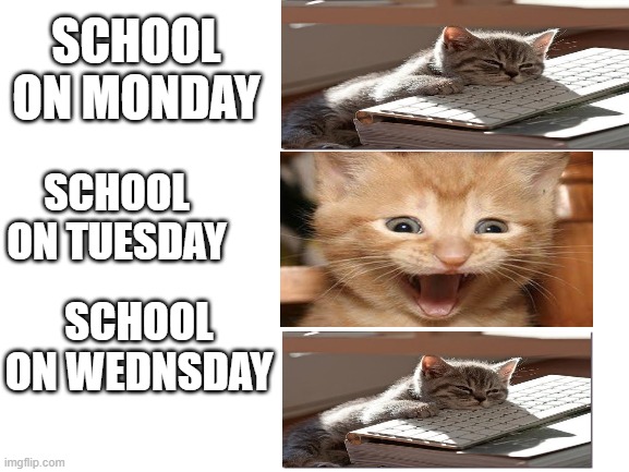 true | SCHOOL ON MONDAY; SCHOOL ON TUESDAY; SCHOOL ON WEDNSDAY | image tagged in blank white template | made w/ Imgflip meme maker