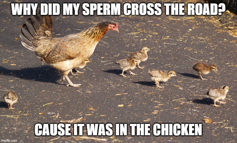 Classic Chicken Joke | WHY DID MY SPERM CROSS THE ROAD? CAUSE IT WAS IN THE CHICKEN | image tagged in chicken road | made w/ Imgflip meme maker