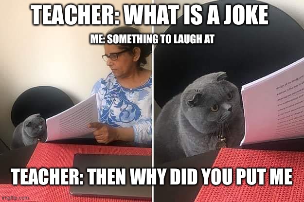Woman showing paper to cat | TEACHER: WHAT IS A JOKE; ME: SOMETHING TO LAUGH AT; TEACHER: THEN WHY DID YOU PUT ME | image tagged in woman showing paper to cat | made w/ Imgflip meme maker