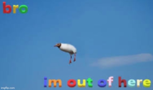 image tagged in bro im out of here | made w/ Imgflip meme maker
