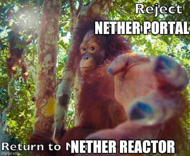 Return to monke | NETHER PORTAL; NETHER REACTOR | image tagged in return to monke,minecraft | made w/ Imgflip meme maker