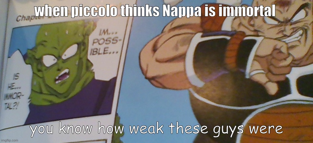 they were weak | when piccolo thinks Nappa is immortal; you know how weak these guys were | image tagged in dbz | made w/ Imgflip meme maker