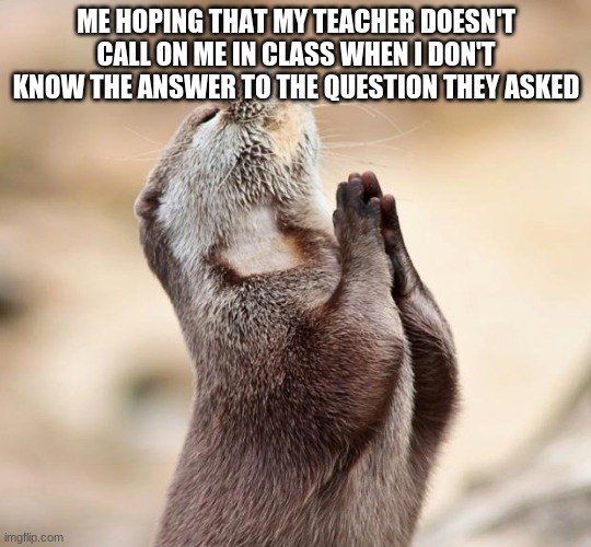 animal praying | ME HOPING THAT MY TEACHER DOESN'T CALL ON ME IN CLASS WHEN I DON'T KNOW THE ANSWER TO THE QUESTION THEY ASKED | image tagged in animal praying | made w/ Imgflip meme maker