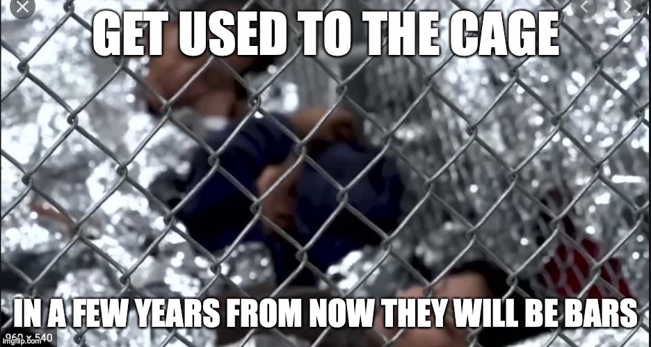Cages to Bars in a few years | GET USED TO THE CAGE; IN A FEW YEARS FROM NOW THEY WILL BE BARS | image tagged in get used to the bars | made w/ Imgflip meme maker