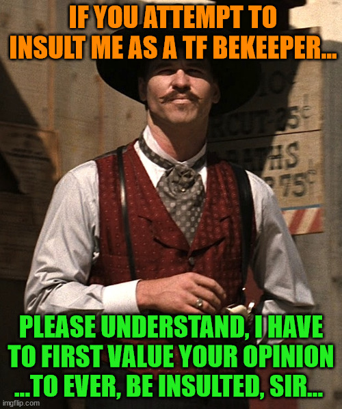 Doc Holiday | IF YOU ATTEMPT TO INSULT ME AS A TF BEKEEPER... PLEASE UNDERSTAND, I HAVE TO FIRST VALUE YOUR OPINION ...TO EVER, BE INSULTED, SIR... | image tagged in doc holiday | made w/ Imgflip meme maker
