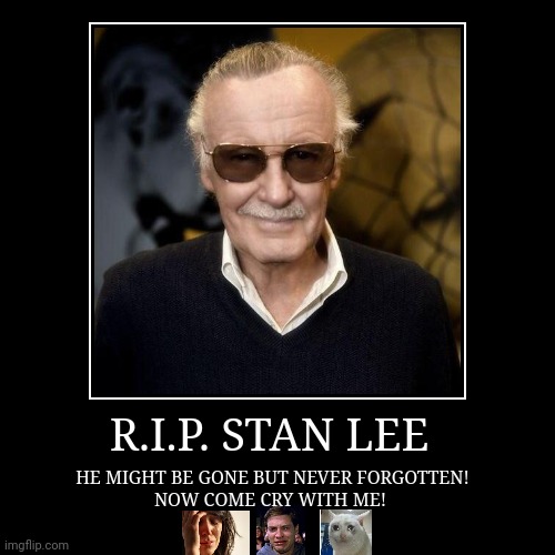 REST IN PEACE | image tagged in demotivationals,sad,come cry with me,cry,rip,stan lee | made w/ Imgflip demotivational maker
